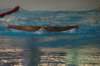 imgp0467_small.jpg