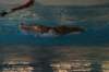 imgp0468_small.jpg