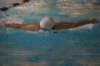 imgp0469_small.jpg