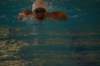 imgp0470_small.jpg