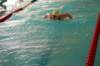 imgp0472_small.jpg