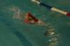 imgp0477_small.jpg
