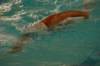 imgp0478_small.jpg