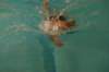 imgp0479_small.jpg