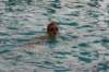 imgp0608_small.jpg