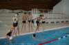 imgp0683_small.jpg