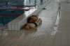 imgp0686_small.jpg
