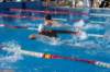 imgp0806_small.jpg