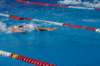 imgp0807_small.jpg