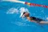imgp0812_small.jpg