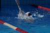 imgp0813_small.jpg