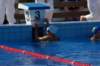 imgp0817_small.jpg