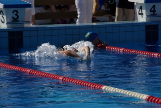 imgp0818.jpg