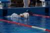 imgp0818_small.jpg