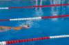 imgp0820_small.jpg