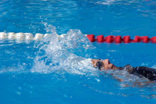 imgp0824.jpg