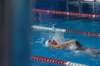 imgp0827_small.jpg