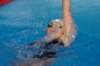 imgp0832_small.jpg