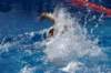 imgp0834_small.jpg