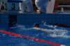 imgp0837_small.jpg