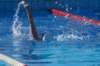 imgp0840_small.jpg