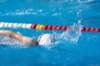 imgp0842_small.jpg
