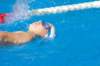 imgp0847_small.jpg