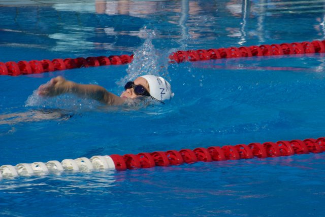 imgp0849.jpg