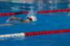 imgp0849_small.jpg