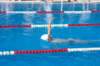 imgp0850_small.jpg