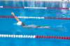 imgp0852_small.jpg