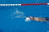 imgp0853_small.jpg