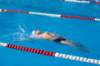 imgp0855_small.jpg