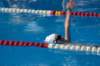 imgp0858_small.jpg