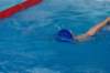imgp0859_small.jpg