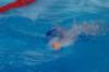 imgp0860_small.jpg