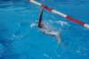 imgp0864_small.jpg