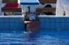 imgp0865_small.jpg