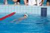 imgp0868_small.jpg