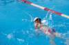 imgp0869_small.jpg
