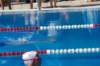 imgp0893_small.jpg