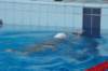 imgp0895_small.jpg