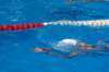 imgp0897_small.jpg