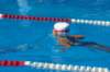 imgp0899_small.jpg