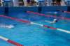 imgp0902_small.jpg