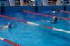 imgp0903_small.jpg