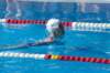 imgp0906_small.jpg