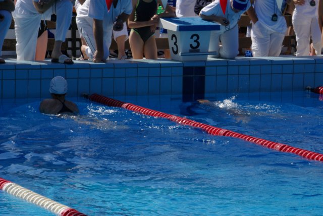 imgp0907.jpg