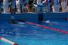imgp0907_small.jpg