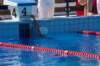 imgp0909_small.jpg